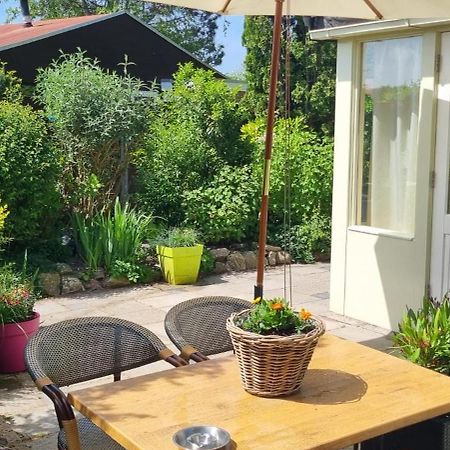 Zonnig Zuid Villa Dirkshorn Luaran gambar