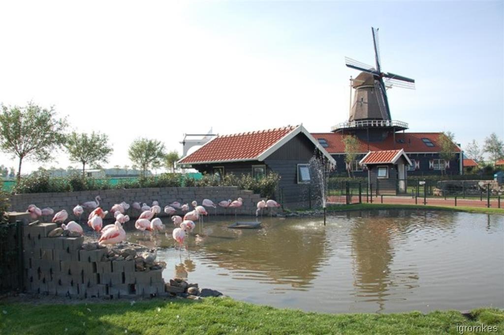 Zonnig Zuid Villa Dirkshorn Bilik gambar